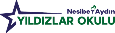 Nesibe Aydın Yıldızlar Okulu
